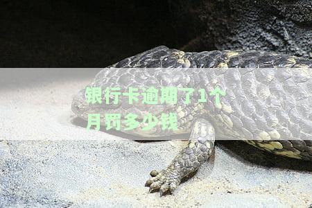 银行卡逾期了1个月罚多少钱-银行卡逾期了1个月罚多少钱呢
