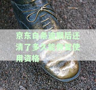 京东白条逾期后还清，多久能恢复使用资格？全解析