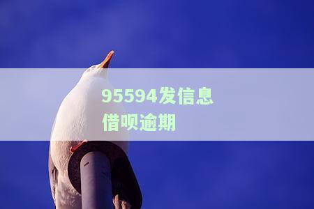 借呗逾期发短信来了怎么办？详解处理步骤及应对策略