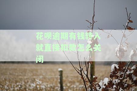 花呗逾期往支付宝转钱会自动扣吗？安全性、处理方法与后果全解析