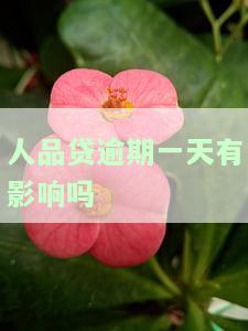 人品贷逾期会有什么后果？影响信用及信用卡使用吗？