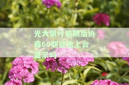 光大银行逾期后协商60期，征信上是否会显示？真的安全吗？需要重新签订协议吗？