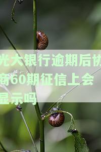 光大银行逾期后协商60期，征信上会显示吗？协商还款方式、金额及是否需要重新签协议？
