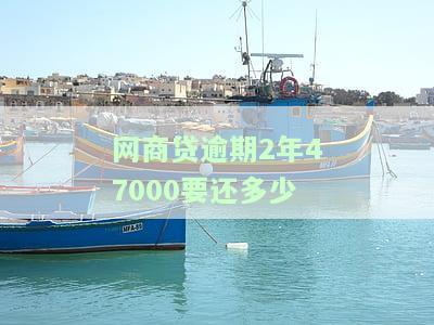 网商贷逾期2年47000要还多少