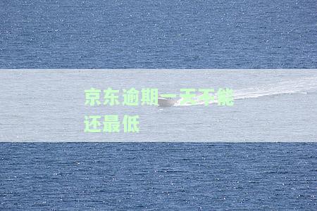京东逾期一天不能还最低-京东逾期一天不能还最低利息吗