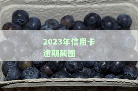2021年信用卡逾期图片：政策与还款情况全览