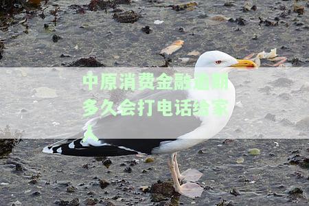 中原消费金融逾期多久打联系人？逾期时间、频率及影响解析