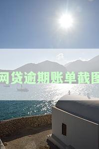 真实完整的网贷逾期账单图片大全及截图