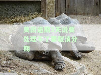 美团逾期3天未处理是否会被取消分期？有额度但无法借款应如何解决？
