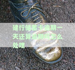 建设银行超期1天还款：后果、处理方法及影响全面解析