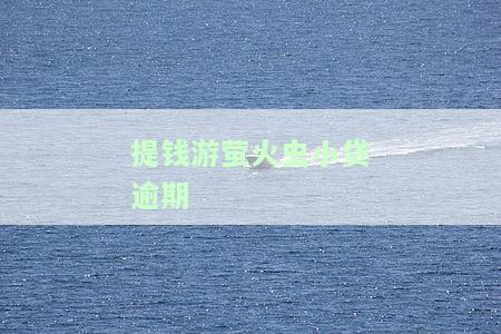 提钱游萤火虫小贷逾期
