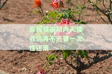 你我贷逾期两天催收：再不还可能需一次性还清，逾期第一天后还有其他催收方式吗？