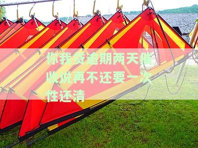 你我贷逾期两天：会要求一次性还清尾款吗？逾期一天如何解决？