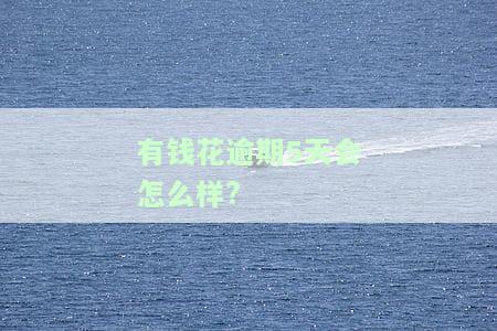 有钱花逾期5天的影响：是否上征信？能否再次借款？
