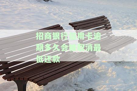 招商银行逾期多少天后不再保留最低还款？上征信时间及影响解析