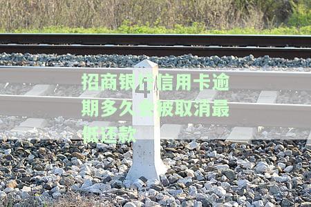 2021年招商信用卡逾期：影响、期限、新政策及处理方法