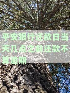 平安银行贷款还款日当天24点前还可还款吗？安全性如何？操作步骤是什么？