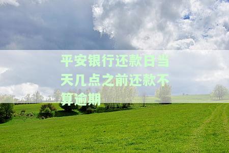 平安银行还款日当天几点之前还款不算逾期-平安银行还款日当天几点之前还款不算逾期吗