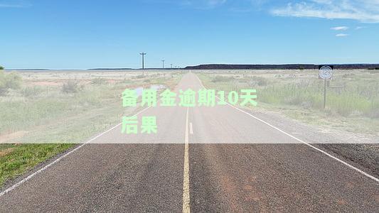 备用金逾期10天后果：支付宝会如何处理？能否继续使用？