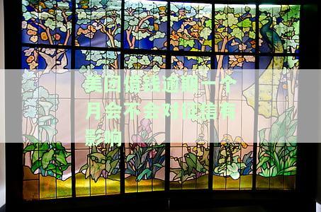 美团借钱逾期一个月会否影响征信？一次逾期多久可再借？