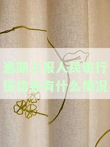 逾期上报人民银行征信会带来什么后果？应该怎么办？