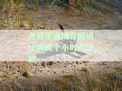 分期乐逾期发短信：一小时内还清，否则全款加费需按流程操作