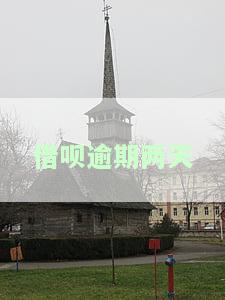 借呗逾期两天还了能否立即再借款？影响大吗？
