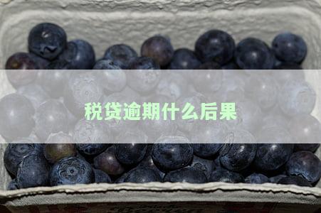 税贷逾期什么后果-税贷逾期什么后果最严重