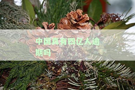 全国真的有3亿人逾期，国家是否不管？