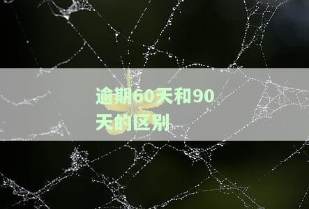 逾期30、60、90天的区别及处理方法：新规定解读与最佳方案