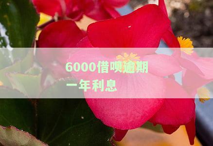 6000借呗逾期一年利息如何计算？逾期6000算严重吗？