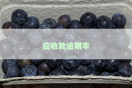 应收款逾期率计算公式及方法