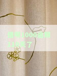 借呗1000逾期110天了