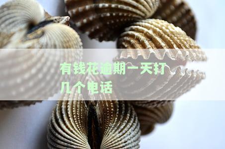 有钱花逾期两天会打电话给紧急联系人吗？