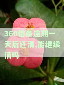 360借条逾期一天后还清，能否继续借款？有影响吗？