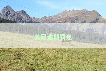 美团逾期罚息多少？无力偿还怎么办？已还款19天，如何处理逾期利息？