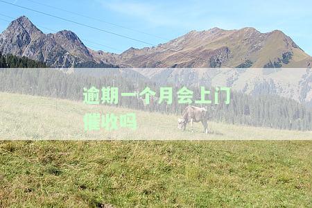 逾期一个多月会上门催收吗？该如何应对？