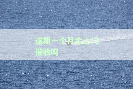 逾期一个月会上门催收吗