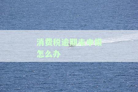 消费税逾期未申报情况说明范文：逾期3天是否会被罚款？