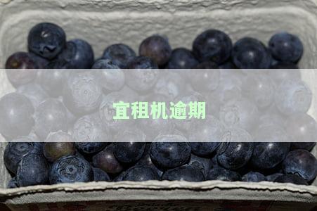宜租机逾期