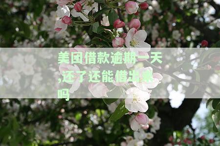 美团借钱逾期一天还款后不能再借？该如何解决？