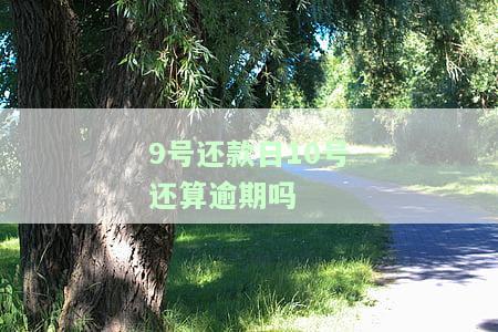 9号还款10号还可以：能否再次借款、消费及延期还款？