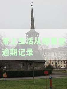 掌上生活：查询借款及还款记录，一目了然你的欠款金额