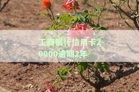 工商银行信用卡20000逾期2年，如何处理？会被起诉吗？逾期1年多未还，解决方案是什么？