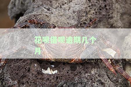 花呗借呗逾期几个月还款后多久解封？影响额度恢复及再次使用时间