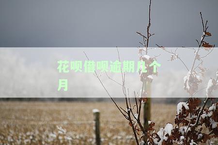 花呗借呗逾期几个月后还清了，能否再次申请房贷？