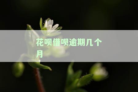 花呗借呗逾期几个月会给家里打电话进行催收？