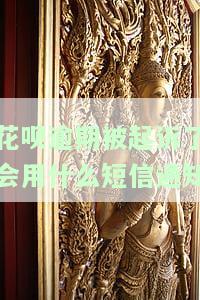 花呗逾期被起诉了，会用什么短信通知？安全吗？是否会收到支付宝信息？