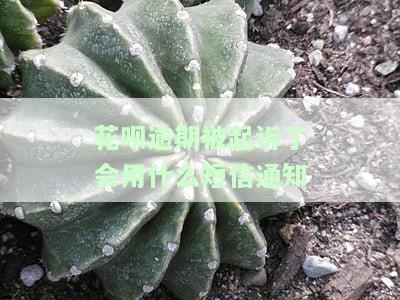欠花呗的钱逾期被起诉到法院，该怎么办？