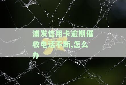 浦发信用卡逾期催收电话不断,怎么办-浦发信用卡逾期催收电话不断,怎么办呢